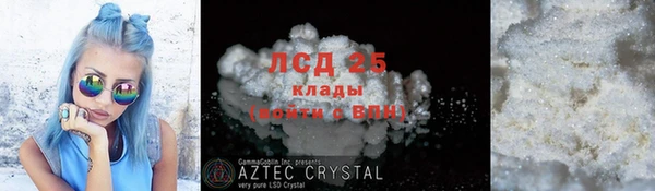 сатива Аркадак