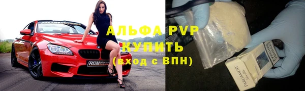 сатива Аркадак