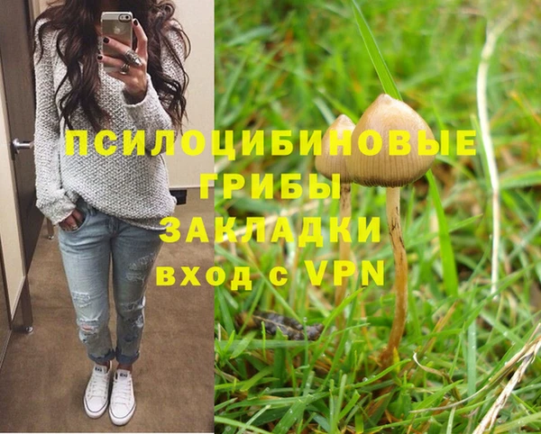 не бодяженный Арсеньев