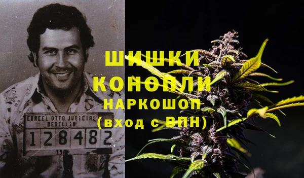 сатива Аркадак
