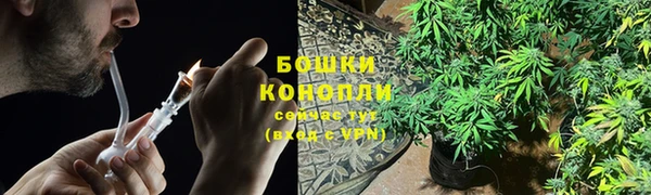 PSILOCYBIN Армянск