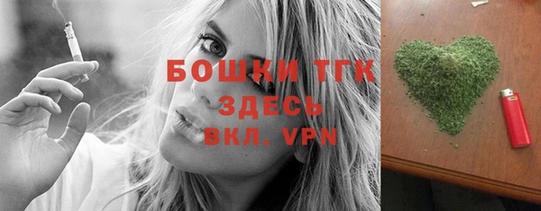 сатива Аркадак