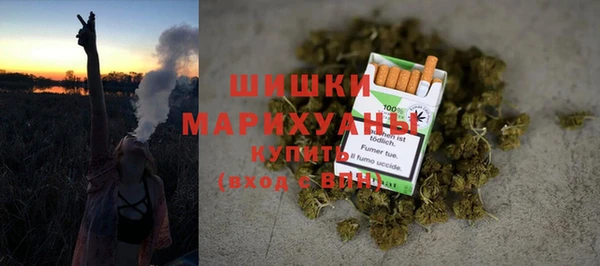 сатива Аркадак