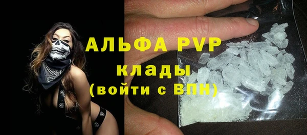 сатива Аркадак