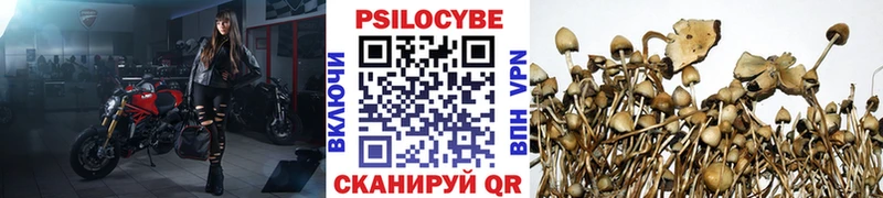 Псилоцибиновые грибы MAGIC MUSHROOMS  hydra   Серов 